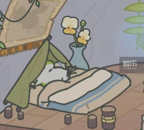 和“蛙儿子”告别